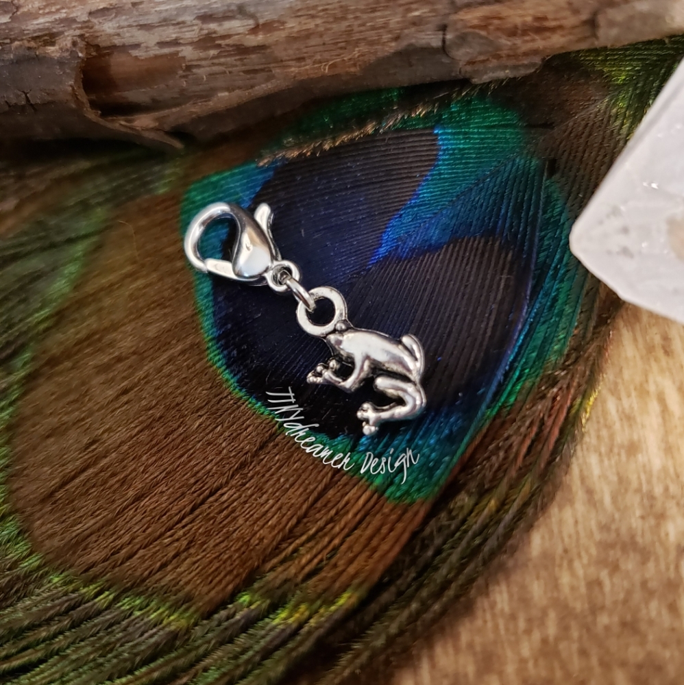 5/$25 Tiny Frog Charm for Bracelet Zipper Toad Prince Nature Witchy Bag Clip 🐸